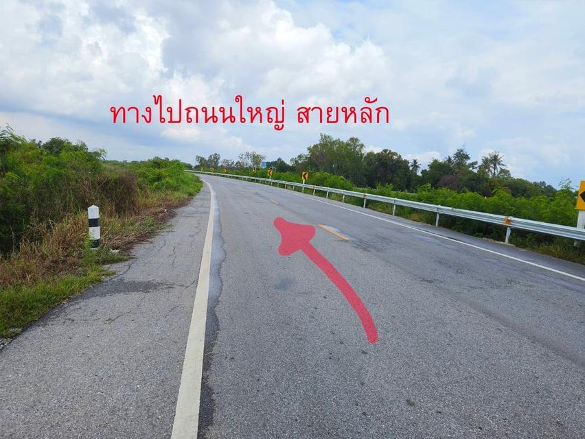  ประกาศขายที่ดิน พิษณุโลก 2