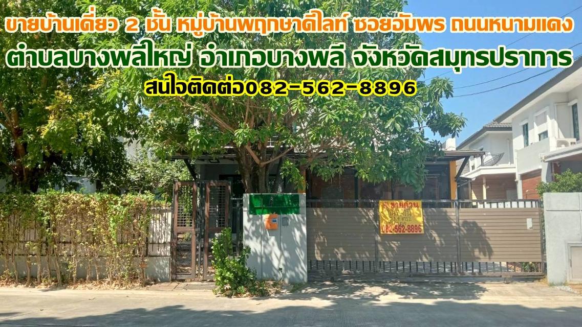 ขายบ้านเดี่ยว 2 ชั้น หมู่บ้านพฤกษาดีไลท์ ซอยอัมพร ถนนหนามแดง 1