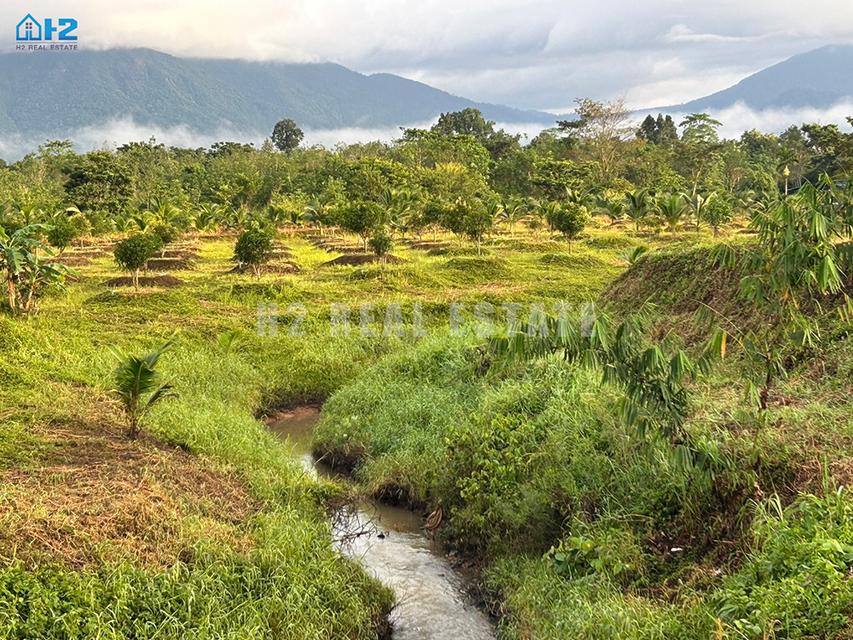 ขายที่ดินจันทบุรีสวยมากๆ  ที่ดินขนาด 70 ไร่ ติดถนนใหญ่ 19