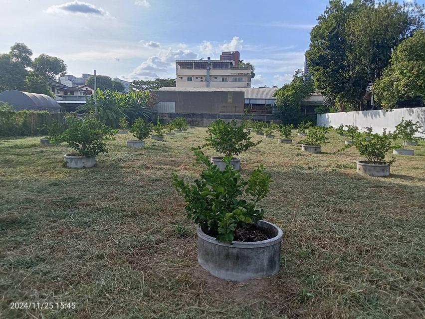 ขายที่ดิน รามคำแหง ซอย 12 พื้นที่ 696 ตารางวา ขายยกแปลงหรือแยกแปลง  ราคาขาย 120,000บาท/ตารางวา 5