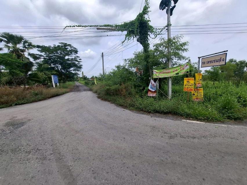 ขายที่ดินคลอง 11ซอยปลายนาร่วมฤดี 1 ใกล้วัดป่าคลอง11 หนองเสือ ปทุมธานี 5