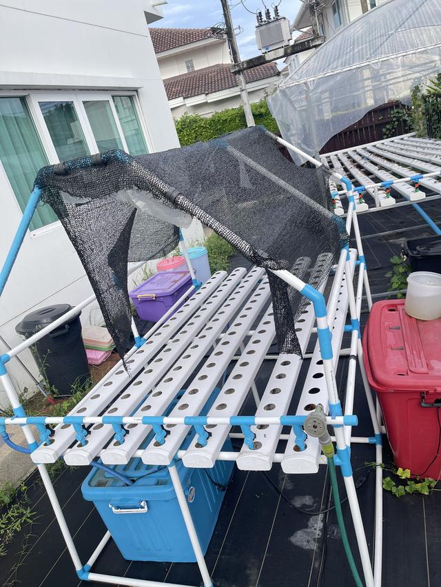 แปลงผักไฮโดร โต๊ะปลูกผัก