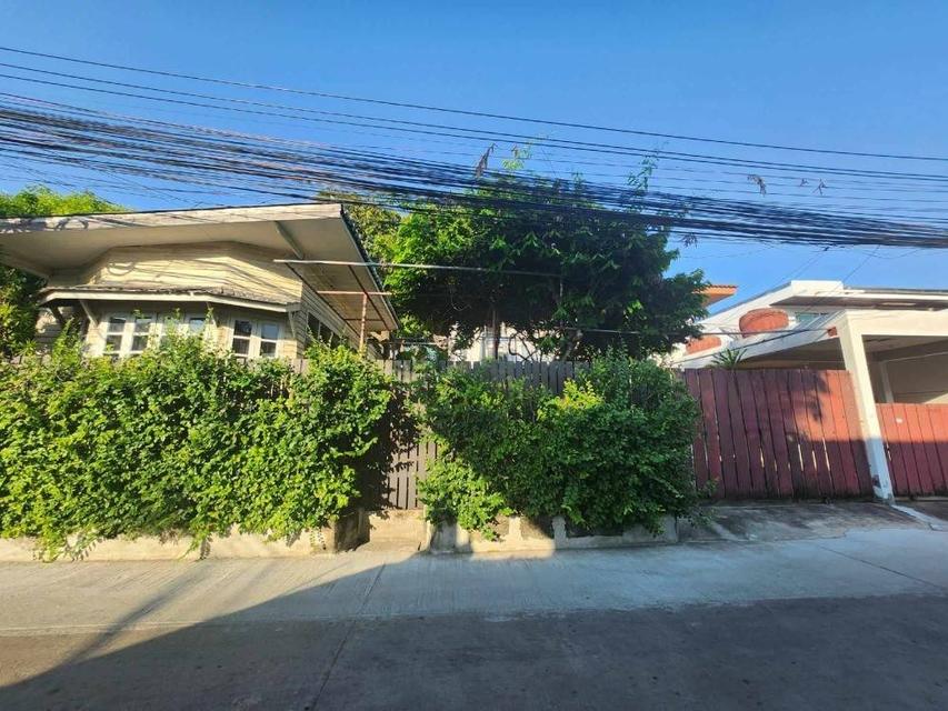 Rent Single House  without furnitures soi Sukhumvit 93 BTS Bang Chak zone 1