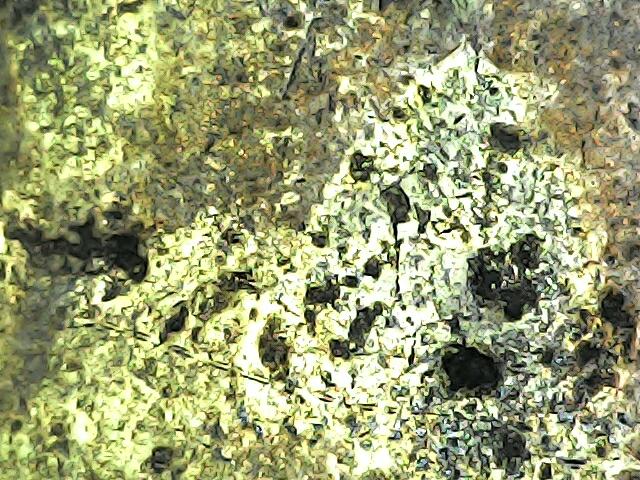 พระหลวงปู่ทวดหลังเตารีด 7