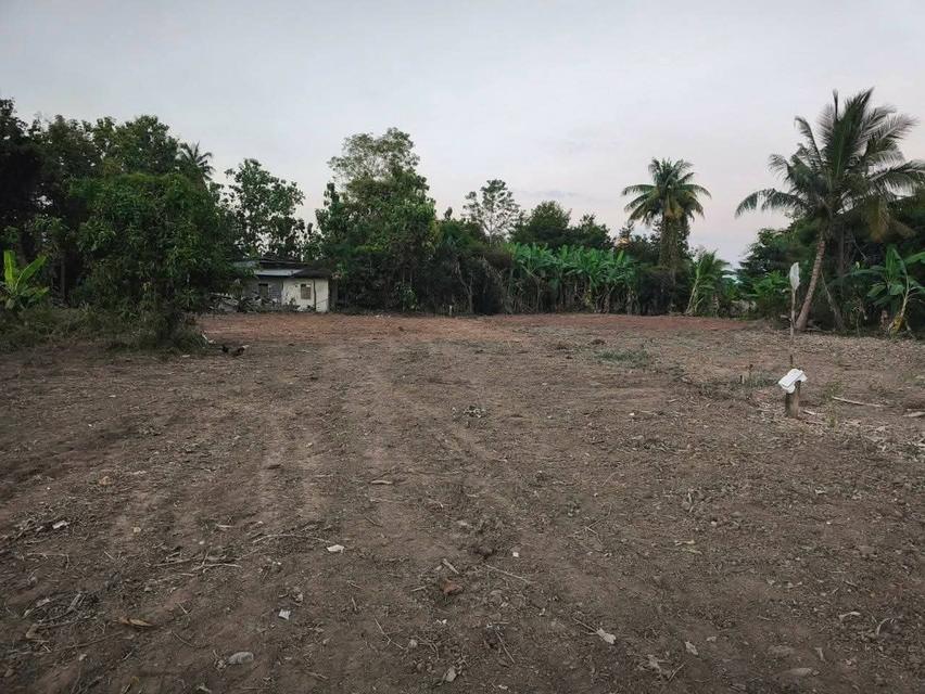 ขายที่ดินพร้อมตัวบ้านเก่า 2