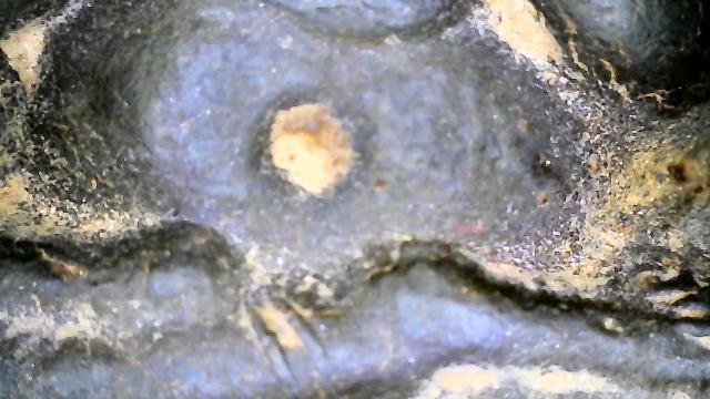 ปิดตาปลดหนี้หลวงปู่โต๊ะเนื้อใบลาน รูปที่ 6