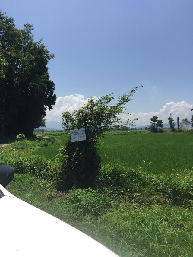 ขายที่ดิน1ไร่3งาน 58 ตรว บ้านหลุก ตำบลนาครัว อำเภอแม่ทะ จังหวัดลำปาง 1