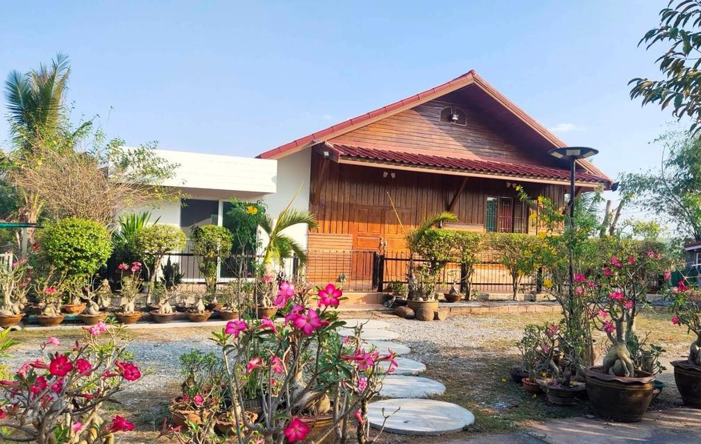 ขายบ้านสวน ทำเลดี 3 ไร่ 1 งาน จังหวัดอุดรธานี 1