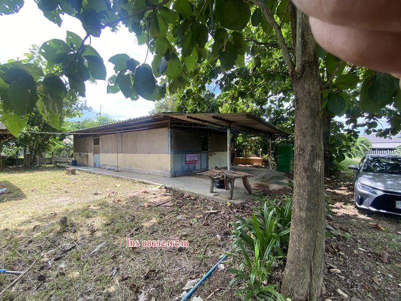 บ้านพร้อมที่ดิน200ตารางวา 1