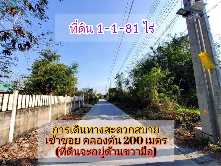 👉โปรฯร้อนๆลดทันที่ 2 ล้านบาท++ ที่ดินบ้านใหม่ 581 ตารางวา ติดถนนลาดยางถนน เคหะ-บ้านใหม่ 21 อ.บางใหญ่ จ.นนทบุรี  2