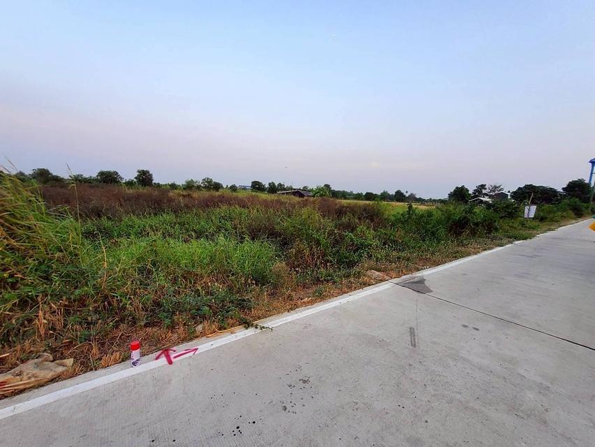 ขายด่วนที่ดิน 400 ตรว ติดถนนสาธารณะ ลาดหลุมแก้ว ปทุมธานี 3