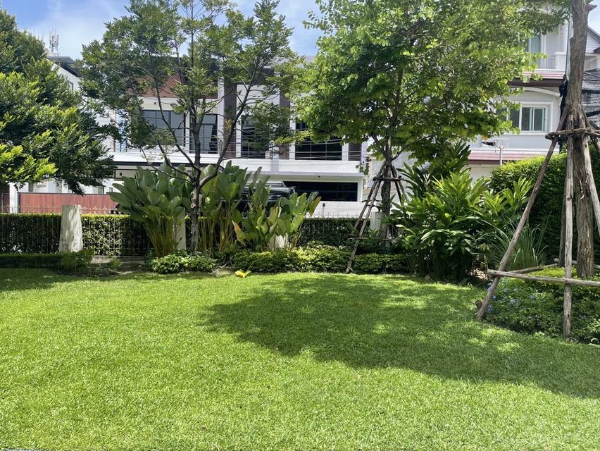 ขายบ้านเดี่ยวสุขุมวิท 64, Home for Sale Sukhumvit 64  2