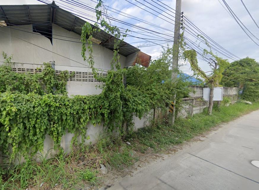 ที่ดินผังสีชมพู หนองข้างของ ชลบุรี 8