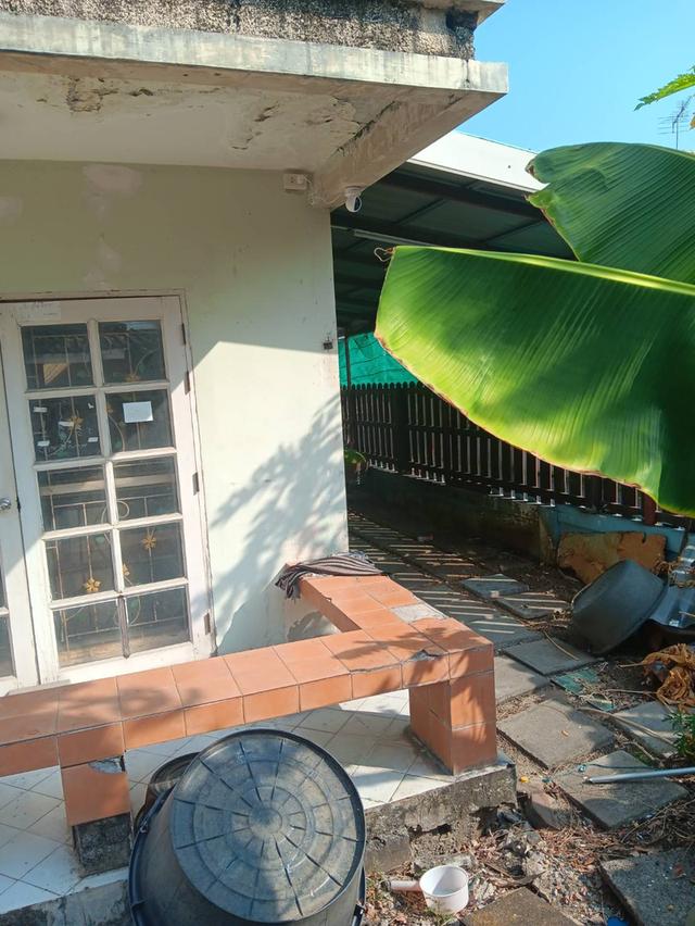 ให้เช่าบ้านเลี้ยงสัตว์ได้ ทาวเฮ้าส์ 2 ชั้น หลังมุม หมู่บ้านพฤกษาบี คลองสาม คลองหลวง ปทุมธานี ใกล้บิ๊กซีคลอง3,ดรีมเวิล์ด,ฟิวเจอร์ 3