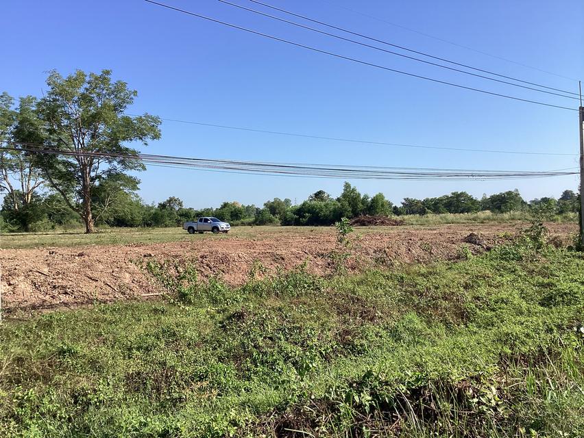 ขายที่ดิน10ไร่จุดยุทธศาสตร์ของเมืองนครพนมเหมาะทั้งขนส่งและสถานีน้ำมัน 5