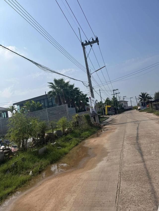 ที่ดินเปล่าถมแล้ว 156 ตรว. 8