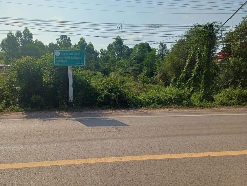 ขายที่ดิน ม.6 ต.บุฝ้าย อ.ประจันตคาม จ.ปราจีนบุรี 6