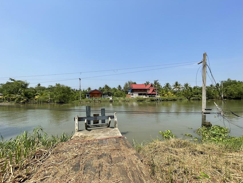 ขายที่ดิน อ.อัมพวา จ.สมุทรสงคราม 1