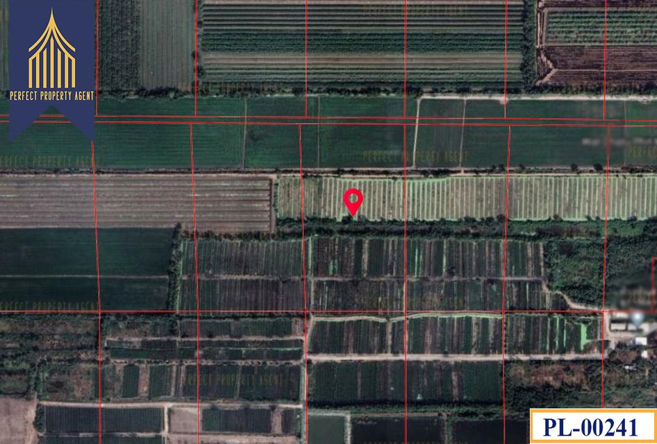 ขายที่ดิน หนองเสือ ทำเลดี จังหวัดปทุมธานี 2