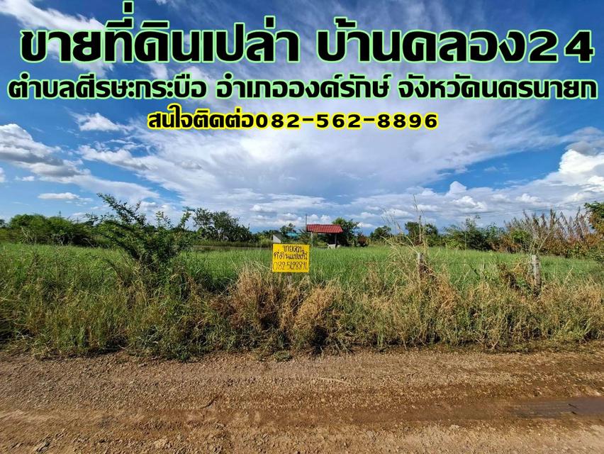 ขายที่ดินเปล่า บ้านคลอง24 ตำบลศีรษะกระบือ อำเภอองค์รักษ์ จังหวัดนครนายก 1