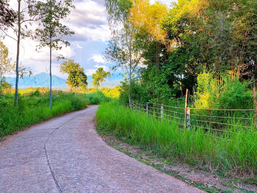 🏡 ขายที่ดินน่าน อ.ปัว วิวดอยภูคา | แปลงเดียว | พร้อมสร้าง 11