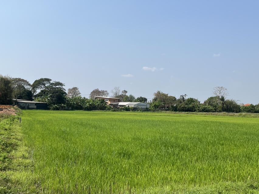 ที่ดิน จังหวัดเชียงราย 5