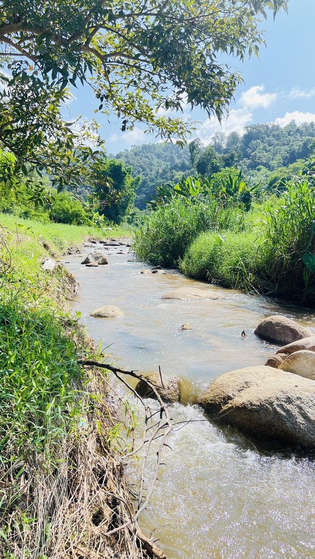 ที่ดิน 5ไร่ ติดลำธาร วิวภูเขา 5