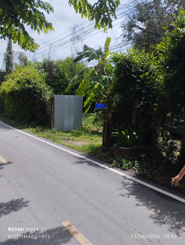 ที่ดินและบ้านเก่าอายุ60ปี 3