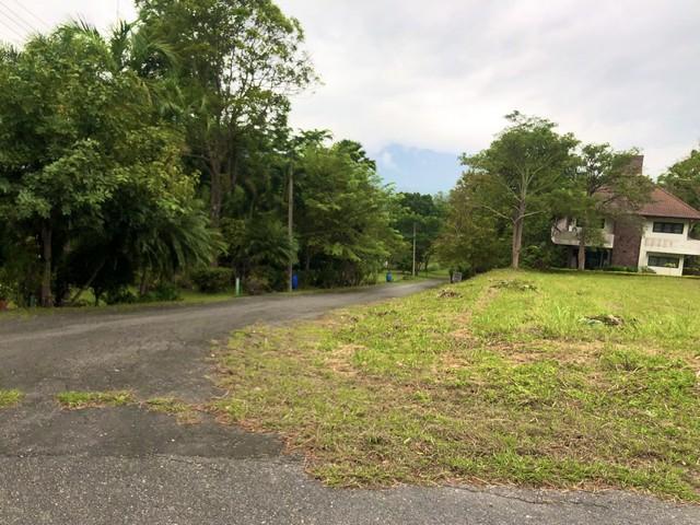 ขายที่ดิน 470 ตร.ว. แปลงมุม ในสนามกอล์ฟเซอร์เจมส์คันทรีคลับ Forest Hill มวกเหล็ก สระบุรี 1
