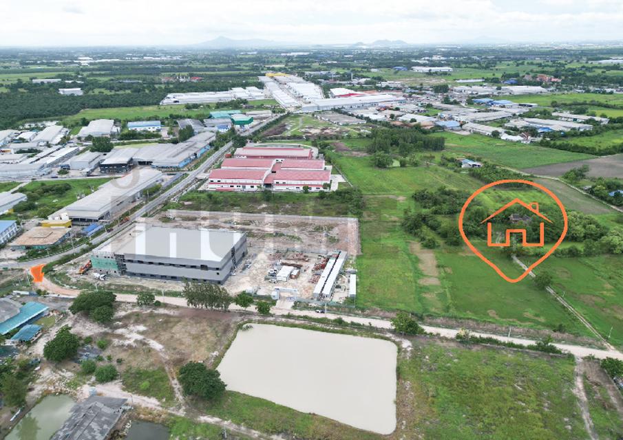 ขาย ที่ดิน บ้านบึง หนอง บอน แดง ชลบุรี(พร้อมสิ่งปลูกสร้าง) รูปที่ 4