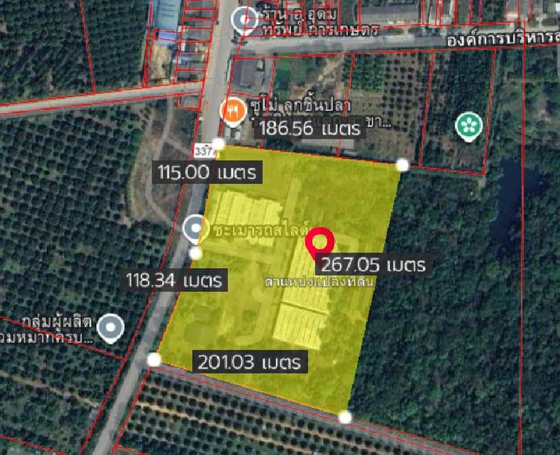 ขายที่ดินพร้อมโรงงานบ้านเขาชะเมาเนื้อที่ 29 ไร่ พื้นที่ 4,100 ตรม. พร้อมใบรง.4 ติดถนนเส้นทล.3377 จ.ระยอง 3