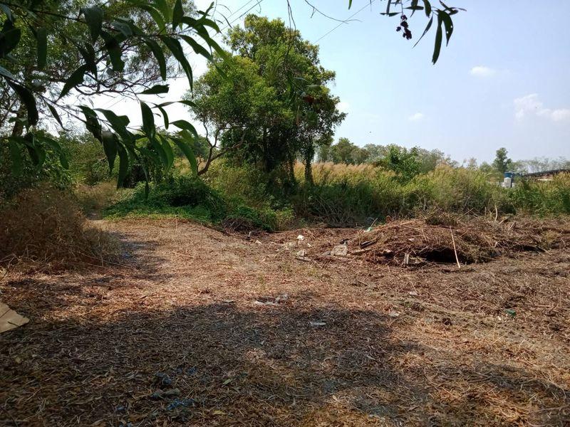 ขายถูกที่สุดในย่านนี้ ที่ดินถนนรามอินทราซอย5 เนื้อที่ 218 ตรว. ขายวาละ 25,000 บาท บางเขน กรุงเทพฯ 13