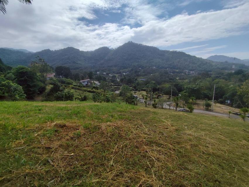ขายที่ดินสวย วิวภูเขา เขาใหญ่ นครราชสีมา 2