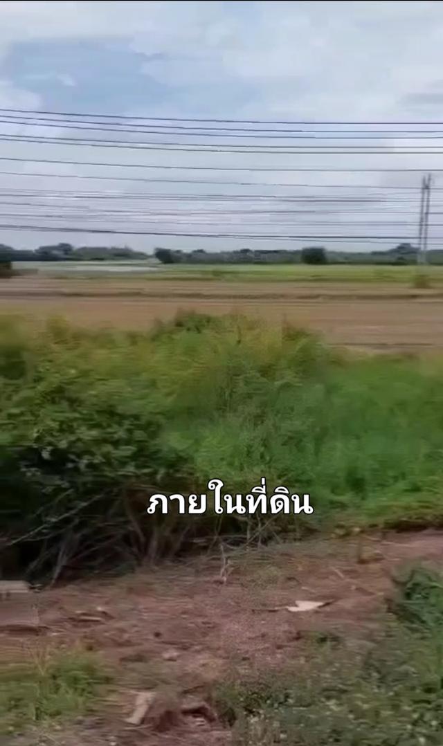 ขายที่ดินติดถนนสายเอเซียฝั่งขาเข้ากทม 24 ไร่ หน้ากว้าง 180 เมตร 4