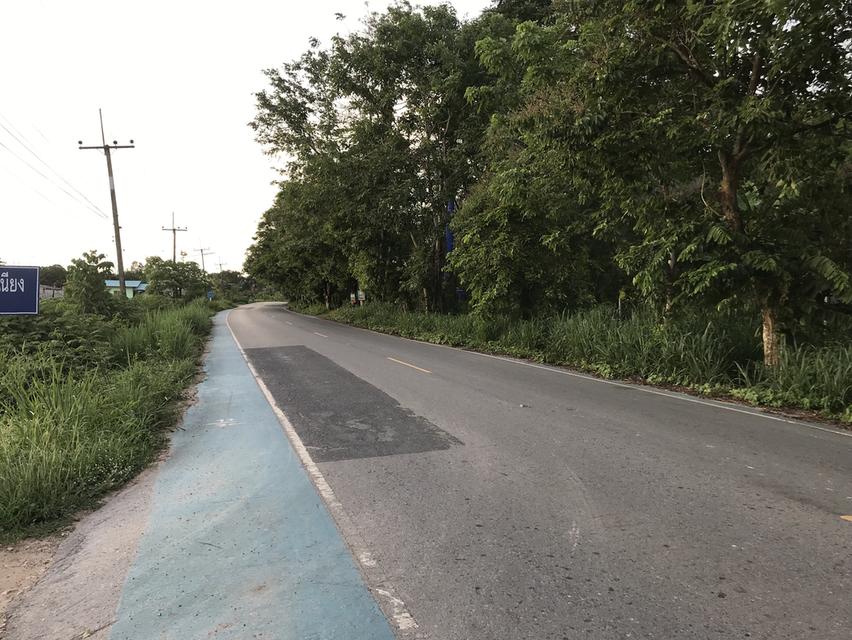 ที่ดิน ราคาถูก ๆราคานี้ หาไม่ได้เเล้ว  โฉนดครุฑเเดง 8