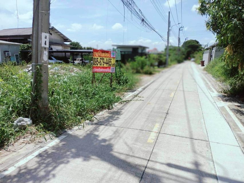 ขายด่วนที่ดิน 198 ตรว ติดถนนคอนกรีตสาธารณะ 2 ด้าน ซ.ลิขิตไก่ย่าง บางบัวทอง นนทบุรี 2