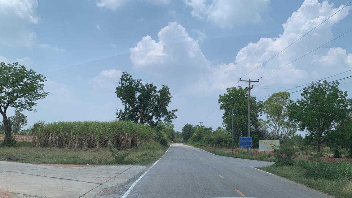 “ขายที่ดิน 38 ไร่ 2งาน 4ตารางวา ไร่ละ150,000 ต.พังเทียม อ.พระทองคำ 5