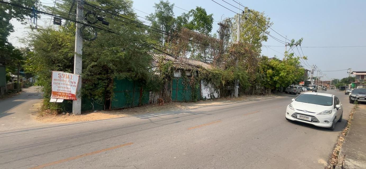 ขายที่ดิน 207 ตร.ว. ติดถนนสันเหมืองเหนือ ต.เหมืองง่า อ.เมือง จ.ลำพูน 1