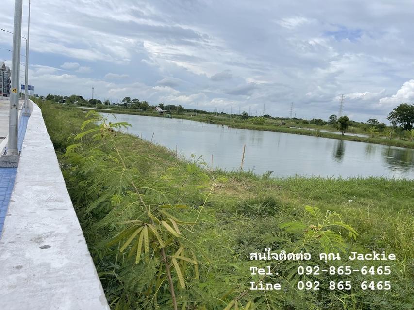ที่ดินเปล่า โฉนดครุฑแดง ติดนิคมอมตะซิตี้ชลบุรี (ผังสีม่วงอ่อนจุดขาว) 1