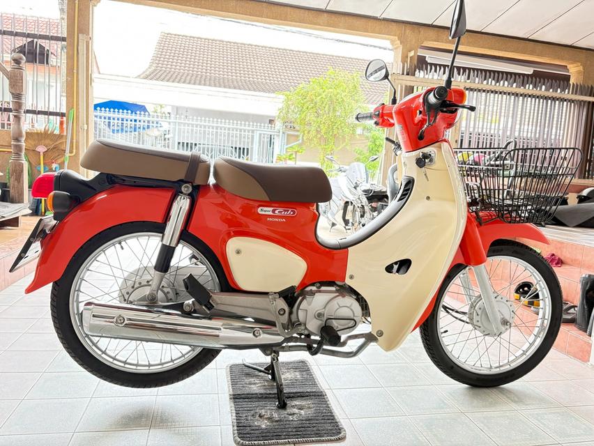 Super Cub รถบ้านแท้ มือเดียว เอกสารครบ ไม่ล้ม ไม่ชน ไม่จมน้ำ สภาพซื้อจอด มีรับประกัน มีเก็บปลายทาง วิ่ง8000 ปี63 6