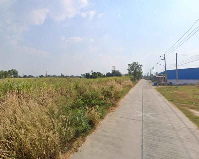 ขายที่ดินหนองหงษ์ 4 ไร่ ติดถนนบ้านไร่-หนองกาน้ำ ใกล้ถนน3023-500เมตร อ.พานทอง ชลบุรี 2