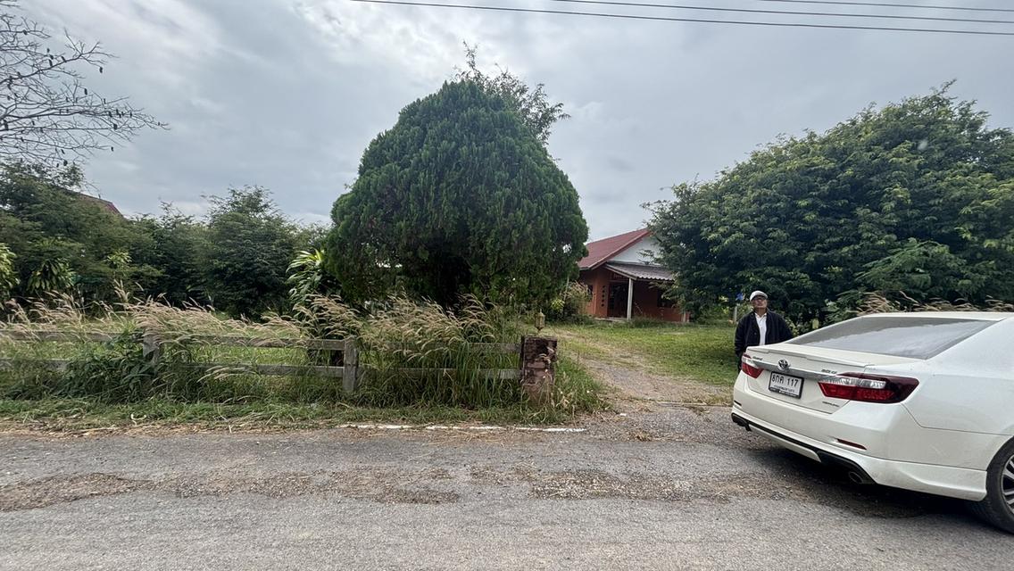 บ้านพร้อมที่ดิน 4 ไร่ 2 งาน 3.2 ล้าน อ.วังน้ำเขียว 10