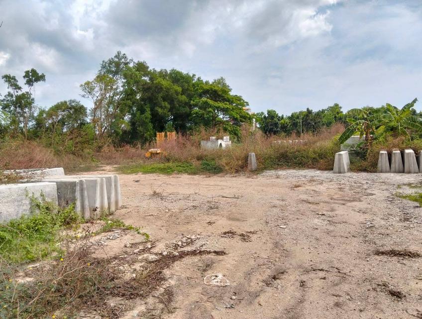 ที่ดิน 2 ไร่ 3 งาน ตัวเมืองระยอง ใกล้นิคม IRPC 4