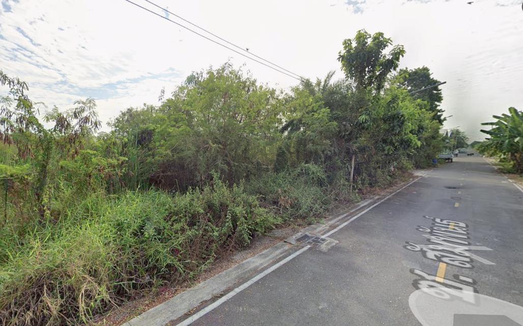 ขายที่ดิน 240 ตร.ว. ติดถนนลาดยาง คลอง 8 อ.ธัญบุรี จ.ปทุมธานี 2