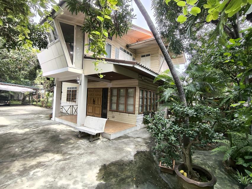 บ้านเดี่ยวเนื้อที่ 446 ตรว. ใจกลางเมือง เหมาะสำหรับลงทุน 13