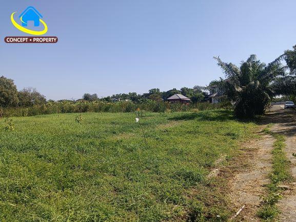 ขายที่ดินแปลงสวย 320 ตรว หมู่บ้านกฤษดานคร 25 ซอยประชาร่วมใจ 31 ทรายกองดิน มีนบุรี 2