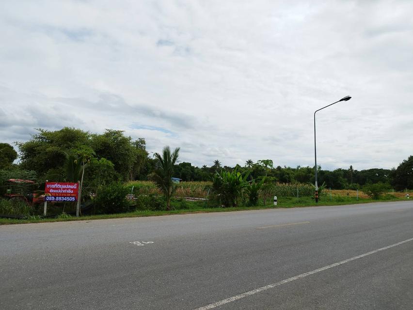 ขายด่วน ที่ดินสวยติดแม่น้ำท่าจีนราคาถูก 2