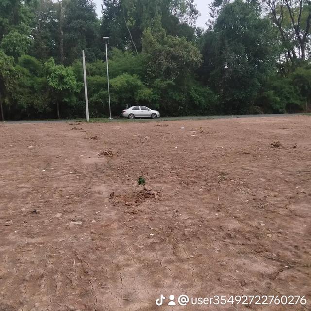 ขายที่ดินเปล่า สระบุรี อำเภอวิหารแดง 4