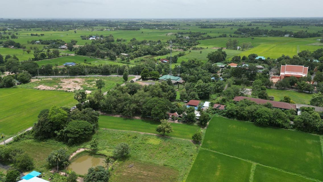 ที่ดินบ้านนาแปลงสวยราคาถูก น่าลงทุนมาก หน้าแปลงติดถนนคอนกรีต ตำบล พิกุลออก อำเภอบ้านนา นครนายก 5