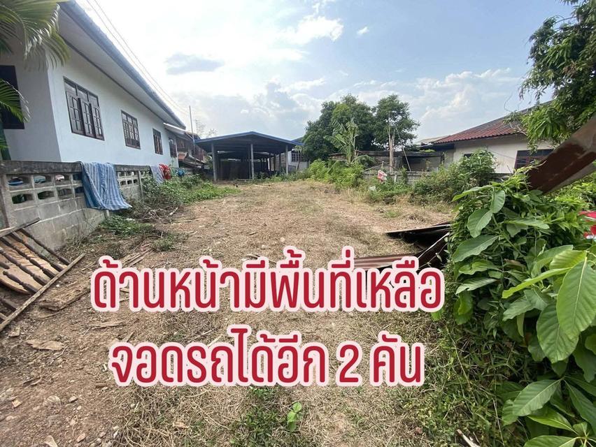 ที่ดินพร้อมโครงสร้างบ้าน 2 หลังบ้านหลักศิลาตำบลพระกลางทุ่งอำเภอธาตุพนมจังหวัดนครพนม 2
